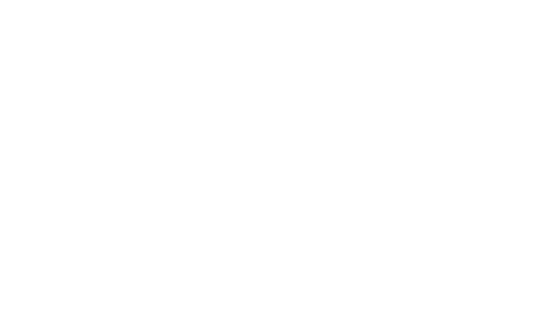 ACE Remodeling TX logo